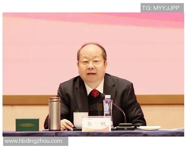 张帆的奋斗历程与成就探索：从平凡到卓越的成长之路