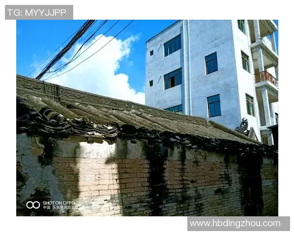 弗格的传奇人生与时代变迁的深刻影响探讨 弗格的传奇人生与时代变迁的深刻影响探讨