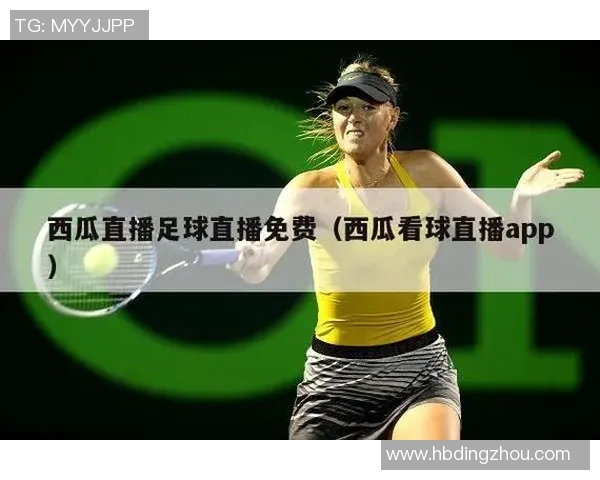 寻找最全面的足球比赛直播网站推荐与使用指南