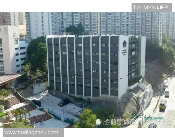 美因队主场迎战弗赖堡队期待精彩对决与激烈竞争