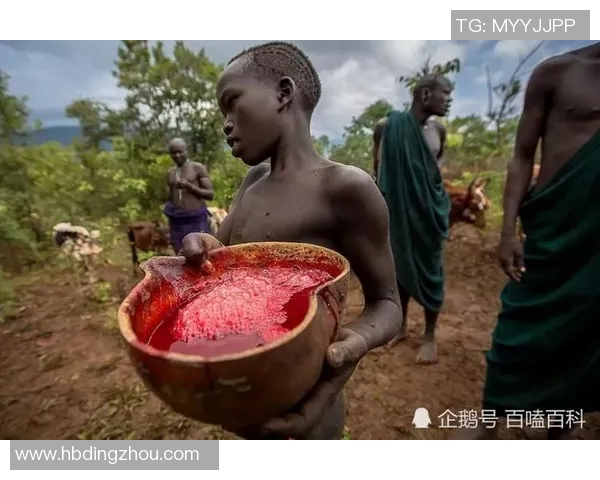 探索马赛文化的魅力与传统生活方式的深度解读